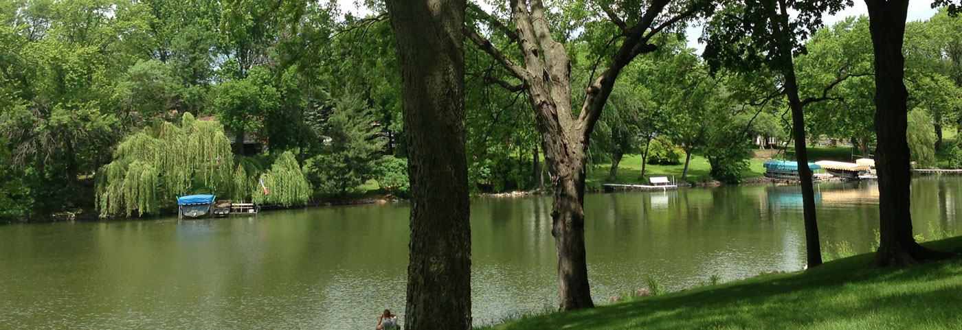 lakeside park through trees